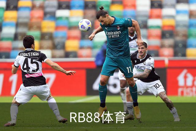 RB88体育公司简介